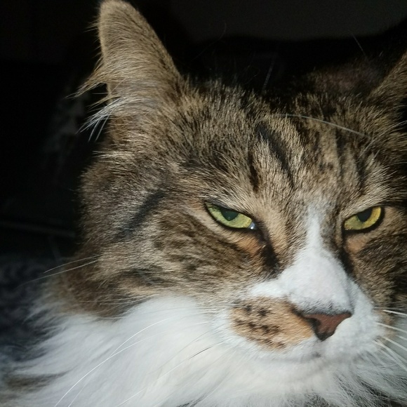 Meet the Posher - Picture 4 of 8